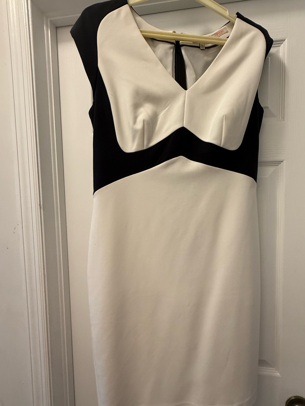 Black and White V-Neck Sheath Scandal Dress - Elegant Women's Dress